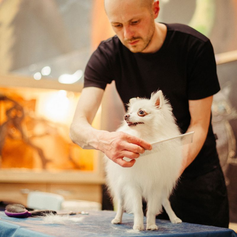 boney-700779-unsplash boney-700779-unsplash